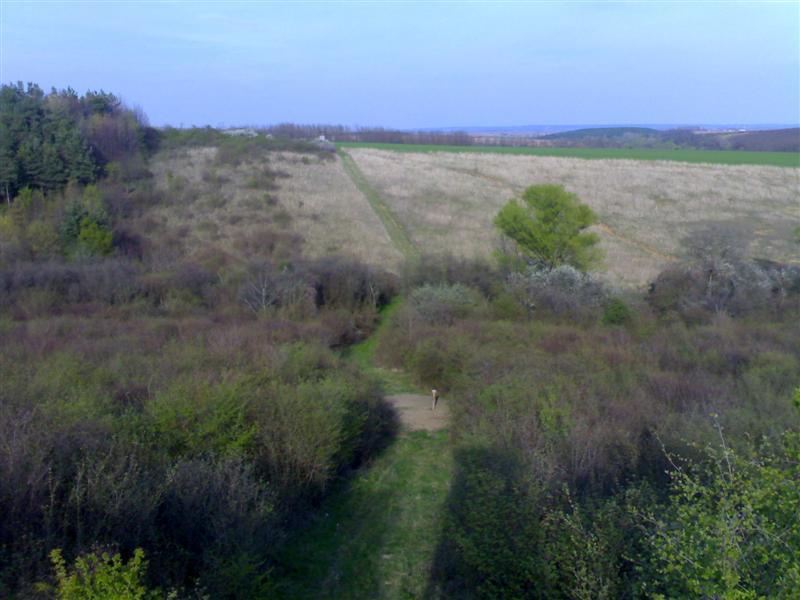 200704091813 .jpg